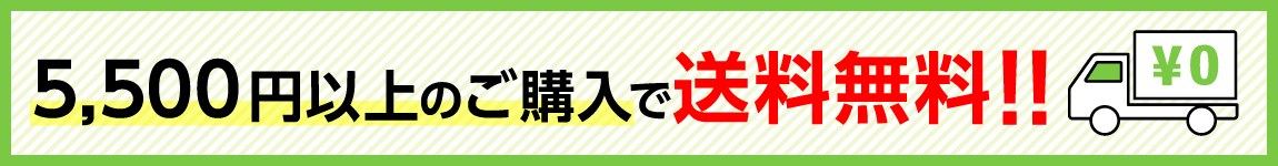 5500円以上送料無料